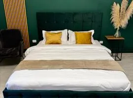 Modern 1 bedroom apartament