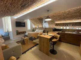 UnderStreet studio with private parking, hotel pro pobyt s domácími mazlíčky v Košicích