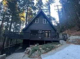 Lake Arrowhead Lux Black Cabin