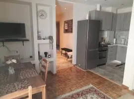City Center Apartment