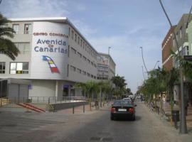 Hotel Avenida de Canarias, hotel v destinaci Vecindario