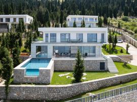 The Luxury Villa: Široka şehrinde bir lüks otel