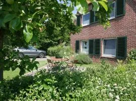 Apart-Zwergmoewe-im-Moewennest-Tossens