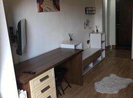 Florina's Apartment, apartment in Oradea