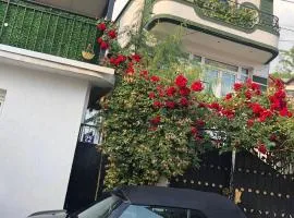 Private Room & Terrace