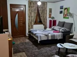 Studio Apartman Ana Doboj