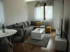 Apartman Ristanovic