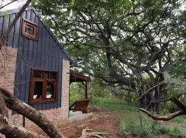 Bethesda Mountain Lodge