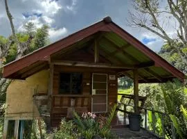 Angha forest view บ้านริมนา