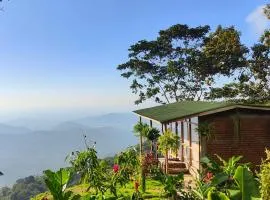 Minca Sintropia - Sustainable Lodge & Organic Coffee Finca
