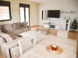Ilic House