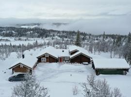 Sletthovdun 151, holiday home in Ål