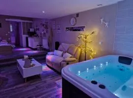 Studio avec jacuzzi , terrasse amenagée et wifi à Westrehem