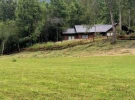 Casa campo en plena naturaleza 3 dormitorios y 2 baños, hotelli kohteessa Lago Ranco