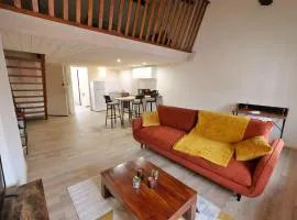 Appartement avec mezzanine idéalement situé à Mâcon