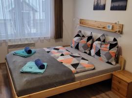 Apartmány 009, lyžařské středisko v destinaci Borová Lada