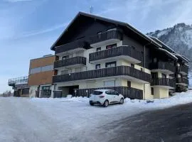 APPARTEMENT MONTAGNE