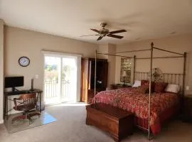 Master Vineyard View Suite in Wine Country