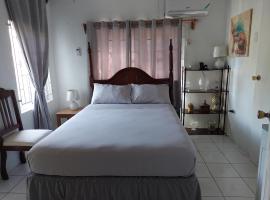 Hunter's Place - Tim Pappies, hotell i Port Antonio