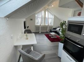 Central Ferienwohnung, hotel in Bad Saulgau