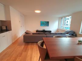 DHG Luxury Apartments Zurich-Wollishofen, apartment in Zurich