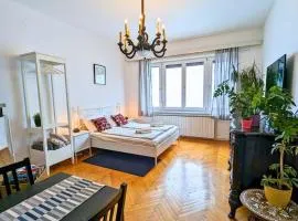 TRUE ZAGREB centrally located & spacious apartment