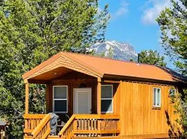 Knotty Bear tiny home 20 miles to West Yellowstone WiFi - BBQ - fully equipped kitchen