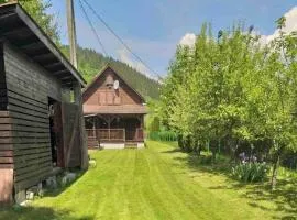 Vacation House Lunca Bradului