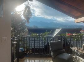 Panoramic House, Hotel in Borsa