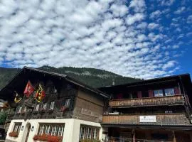 Region de Gstaad - Ultra Modern Apartment- Huge Roof Terrace - Great Views