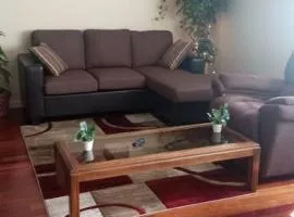 Suite 3
