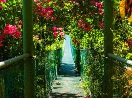 Sunshine Sanctuary Boutique Jungle Lodge