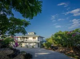 The Pineapple Palace