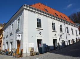 Penzion Masarykova 37 Hluboká nad Vltavou, hotel in Hluboká nad Vltavou