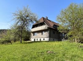 Gruppenhaus Baiersbronn LUG INS TAL, hotel in Baiersbronn