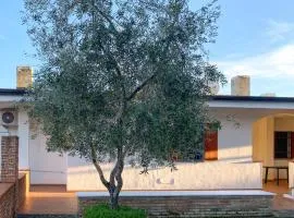 5 Bedroom Pet Friendly Home In Vieste