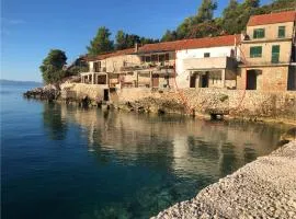 The White house robinson Gdinj Hvar