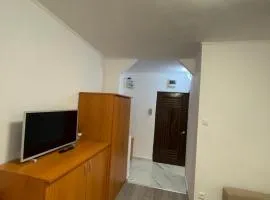 Apartament cu o camera
