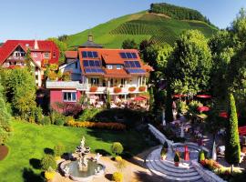 Hotel Rebstock Durbach, budgethotel i Durbach