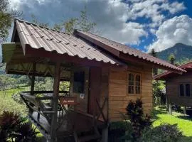 Angha forest view บ้านกลางนา