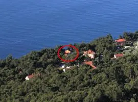 Apartments by the sea Zavala, Hvar - 8809