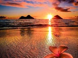 KANALU BEACH APPATEMENT, 5-stjernet hotel i Bouillante