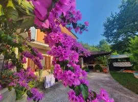 OLIVES HOUSE in Izola
