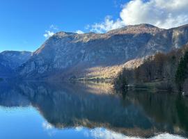 Apartma Tisa Bohinj-no outside windows