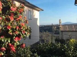 Civita's