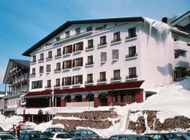 Diamond Shiga, гірськолижний курорт у місті Яманоуті