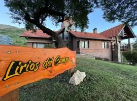 Lirios del Campo - Chumamaya Merlo SL