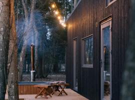 Living art piece at the lake., villa in Užutrakis