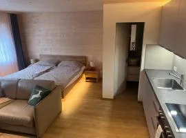 New renovated Studio in Chalet Kuckuk