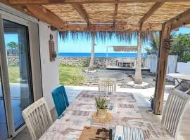 Ô coin des baleines